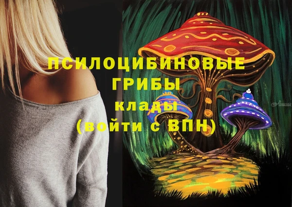 марки lsd Богданович