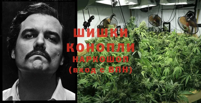 купить наркоту  Тосно  Канабис LSD WEED 